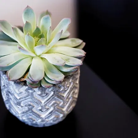 Luxe & Vue A Riva Bella, Luxury & Sea View Apartment Ouistreham