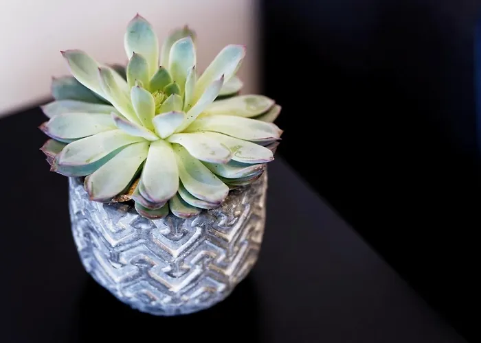 Luxe & Vue A Riva Bella, Luxury & Sea View Lägenhet Ouistreham